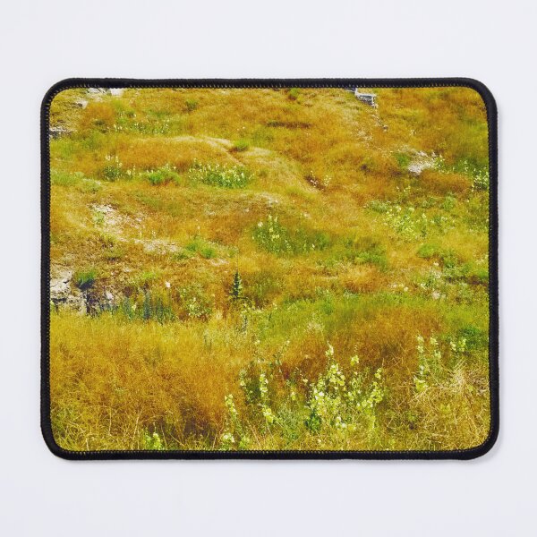 Item preview, Steppe on a bright summer day, natural background designed and sold by helenkaiy.