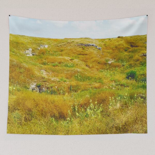 Item preview, Steppe on a bright summer day, natural background  designed and sold by helenkaiy.