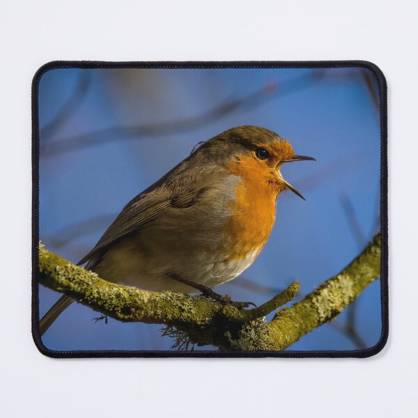 Item preview, Robin designed and sold by Claire Hawken.