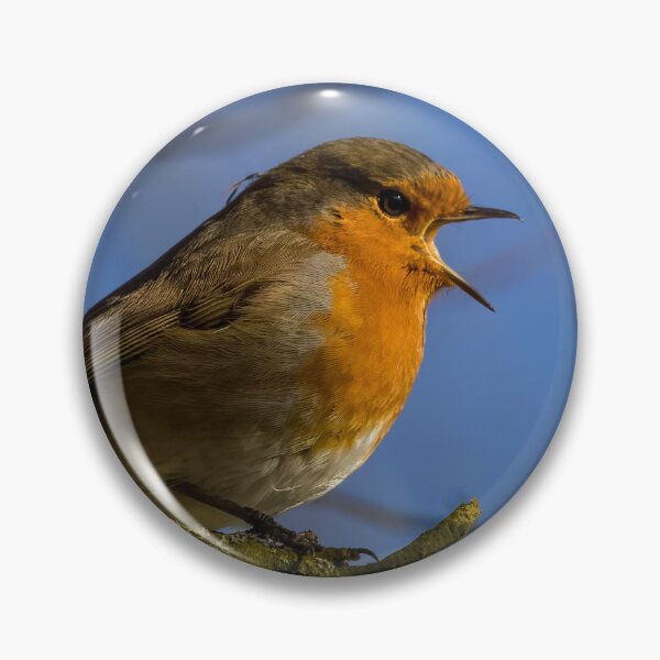 Item preview, Robin designed and sold by Claire Hawken.