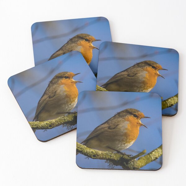 Item preview, Robin designed and sold by Claire Hawken.