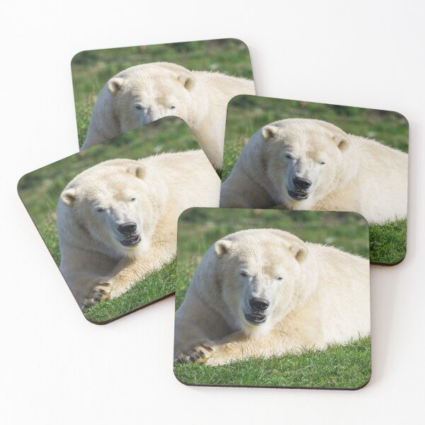Item preview, Polar Bear Watching the World Go By designed and sold by LFPPhotography.