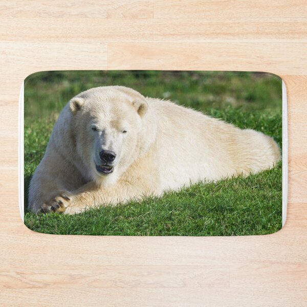 Item preview, Polar Bear Watching the World Go By designed and sold by LFPPhotography.