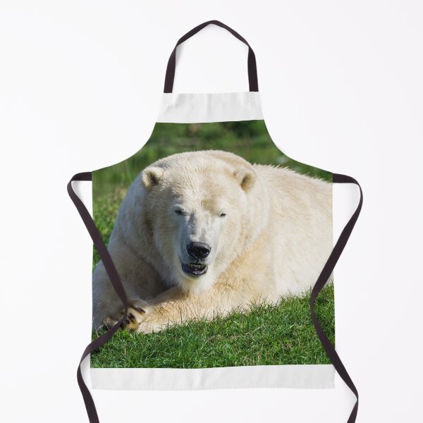 Item preview, Polar Bear Watching the World Go By designed and sold by LFPPhotography.