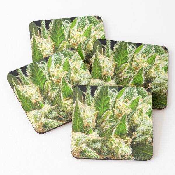 Artikelvorschau, Cactus Jack Cannabisliebe entworfen und verkauft von CannaGranny™ .