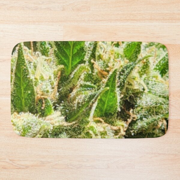 Item preview, Cactus Jack cannabis love  designed and sold by  CannaGranny™ .