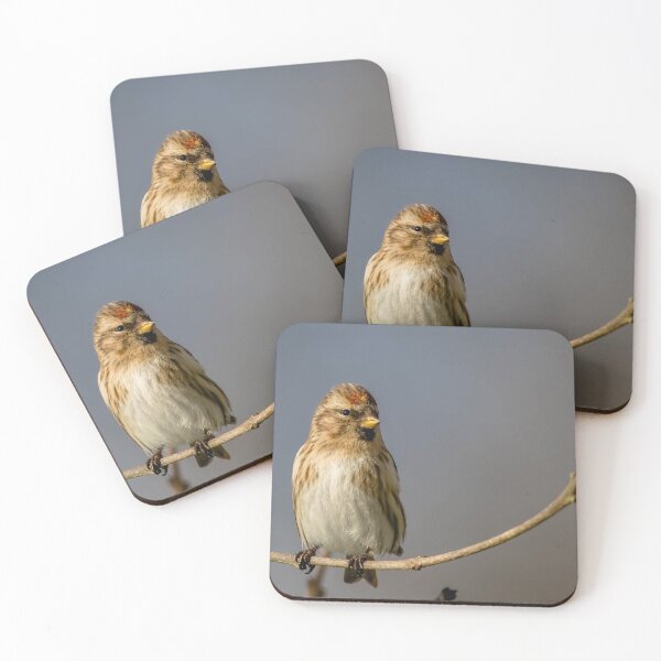 Item preview, Redpoll designed and sold by Claire Hawken.