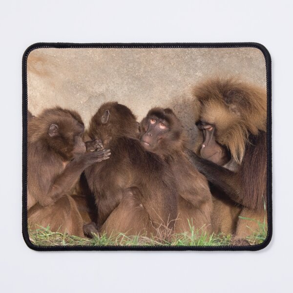 Item preview, Monkeys Enjoying Family Time designed and sold by LFPPhotography.