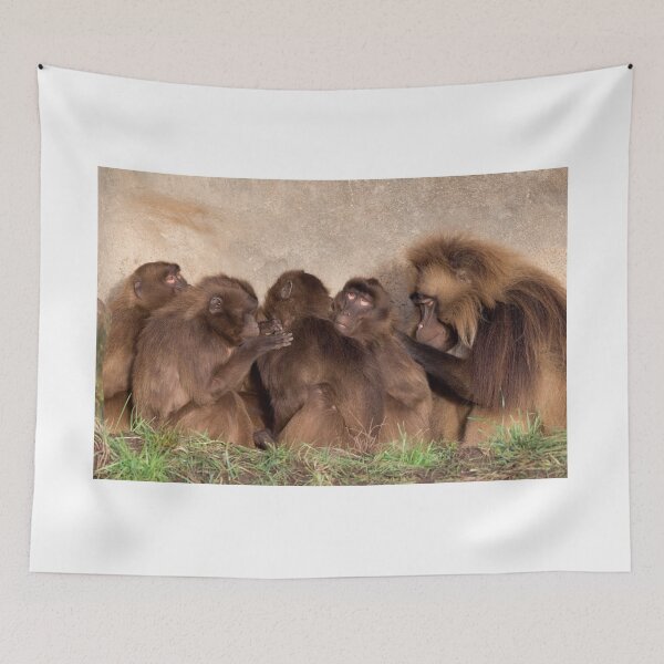 Item preview, Monkeys Enjoying Family Time designed and sold by LFPPhotography.