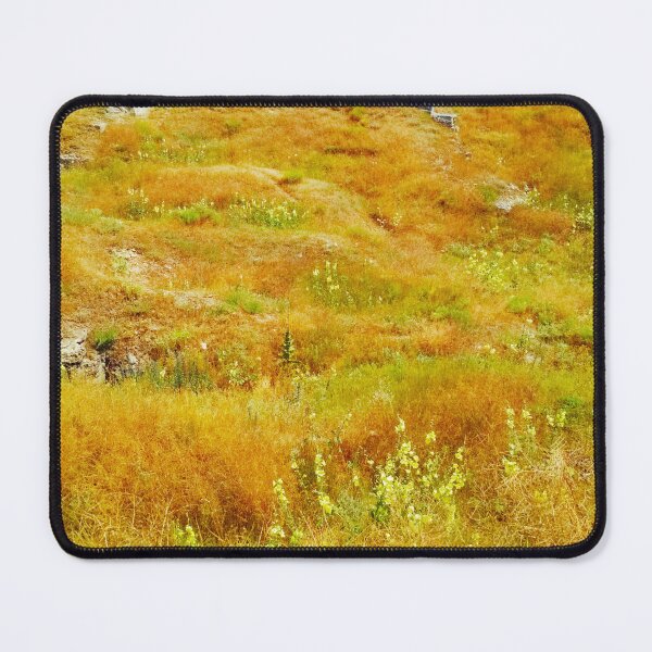 Item preview, Steppe on a bright summer day, natural background designed and sold by helenkaiy.