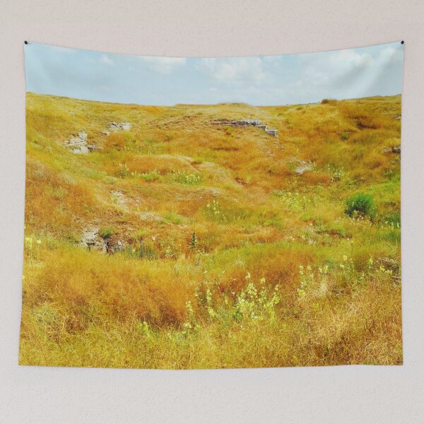 Item preview, Steppe on a bright summer day, natural background  designed and sold by helenkaiy.