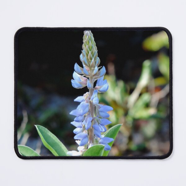 Artikelvorschau, Blaue Wildblumen entworfen und verkauft von Jmb67.