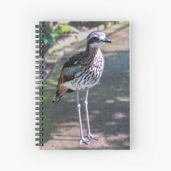 Bush stone-curlew Spiral Notebook