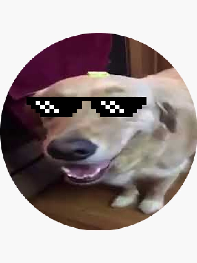 Butter Dog Meme Sticker