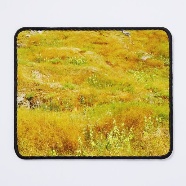 Item preview, Steppe on a bright summer day, natural background  designed and sold by helenkaiy.