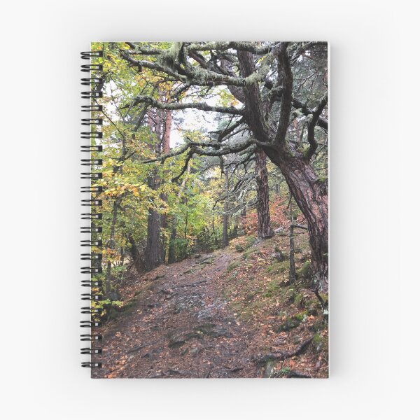 Item preview, autumn in the valley designed and sold by Iran78.