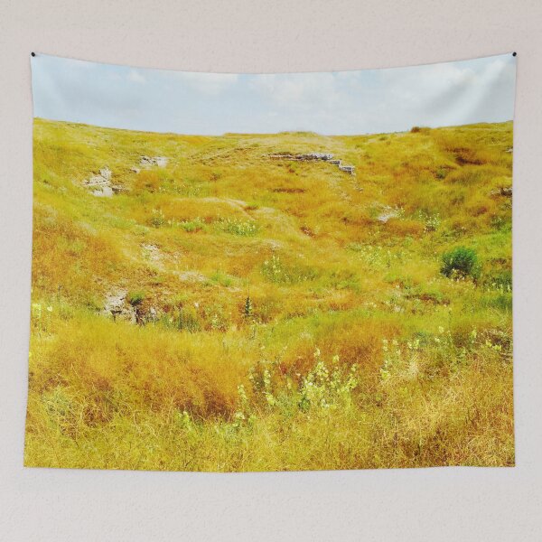Item preview, Steppe on a bright summer day, natural background  designed and sold by helenkaiy.