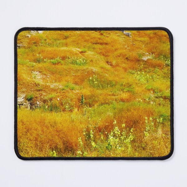 Item preview, Steppe on a bright summer day, natural background designed and sold by helenkaiy.