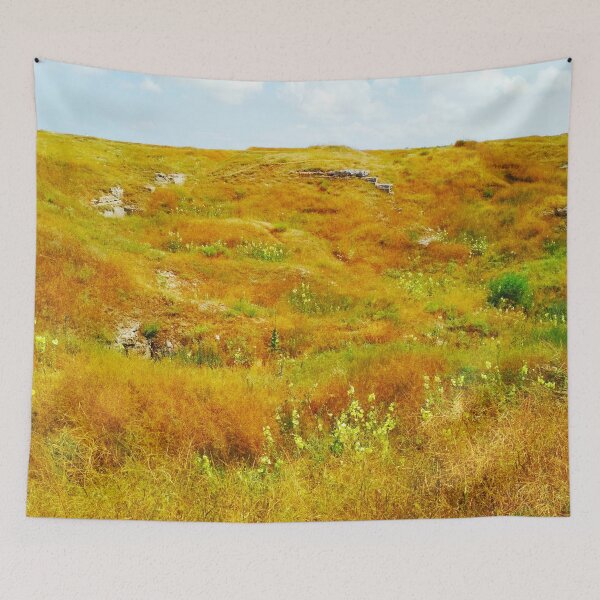 Item preview, Steppe on a bright summer day, natural background  designed and sold by helenkaiy.