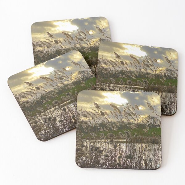 Item preview, Rushes in Winter Light designed and sold by Paddyb17.