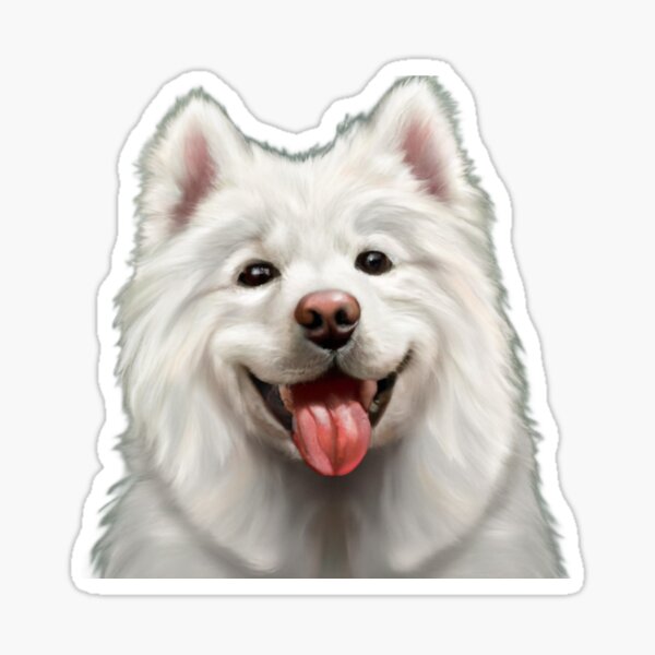 Carefree samoyeds sale