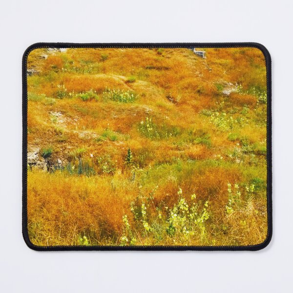 Item preview, Steppe on a bright summer day, natural background designed and sold by helenkaiy.