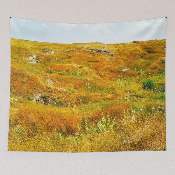 Item preview, Steppe on a bright summer day, natural background  designed and sold by helenkaiy.