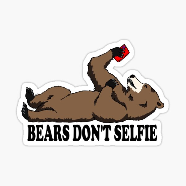 Bears don't Selfie (I feel pretty) Sticker