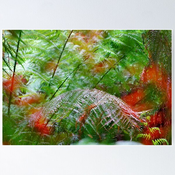 Item preview, Otways Ferns designed and sold by Harry Oldmeadow.