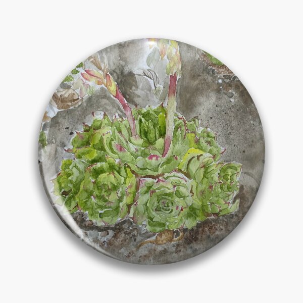 Item preview, Succulent Plants at Mendocino Botanical Garden designed and sold by Originalceenote.