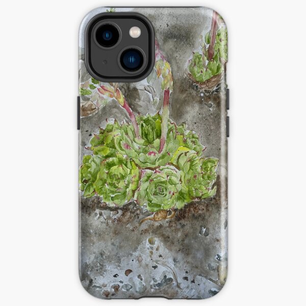 Succulent Plants at Mendocino Botanical Garden iPhone Tough Case
