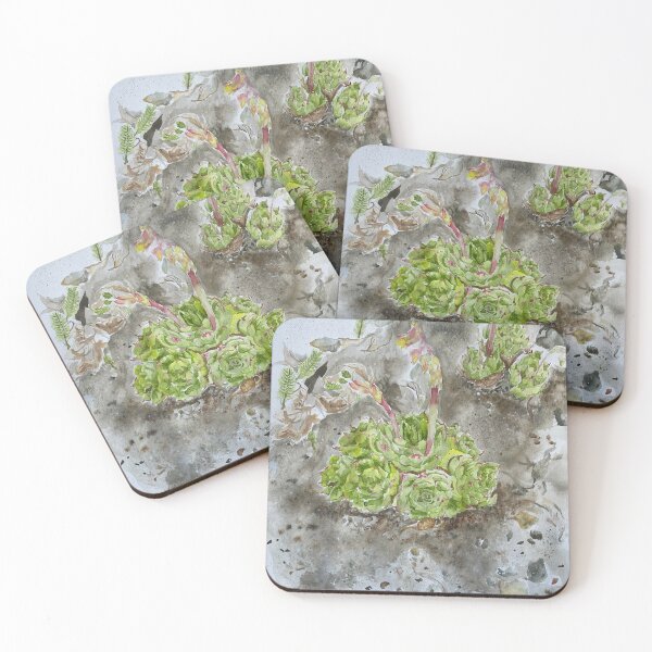 Item preview, Succulent Plants at Mendocino Botanical Garden designed and sold by Originalceenote.