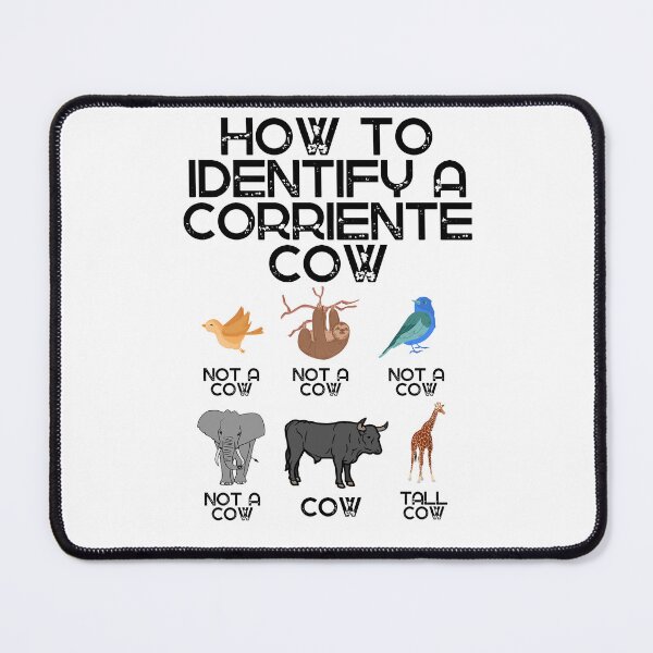 Item preview, Cómo identificar una vaca corriente designed and sold by FarmsteadAcers.