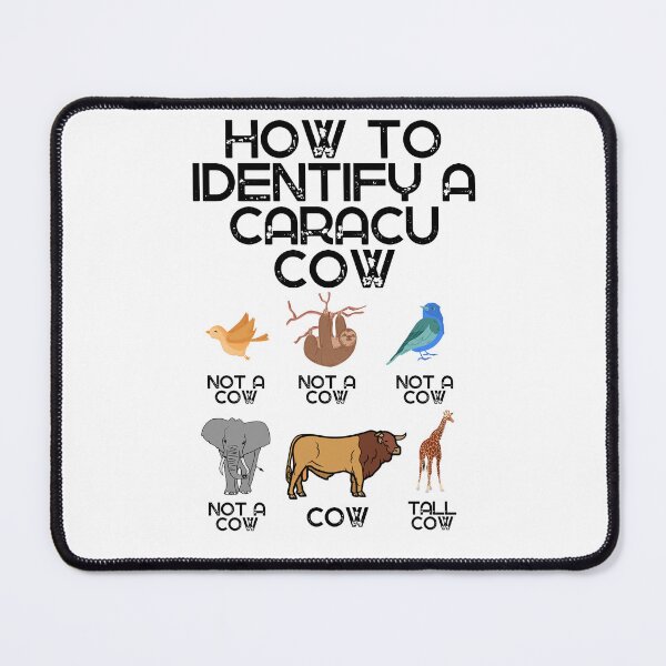 Item preview, How to identify a Caracu Cow designed and sold by FarmsteadAcers.