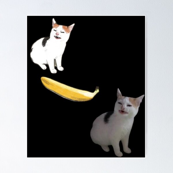 I draw the angry cat no banana meme Photographic Print for Sale