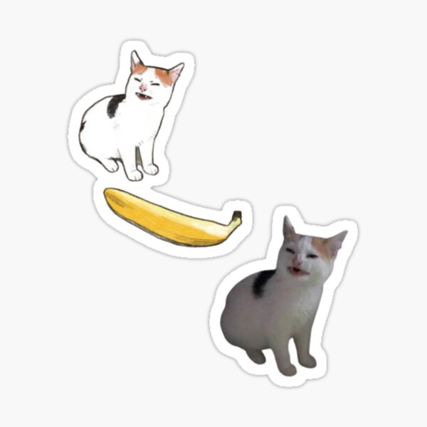 Angry cat no banana meme calico kitty hate yellow fruit - Angry