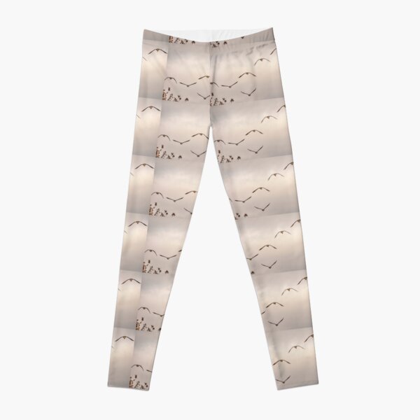 Women's Cropped and Carpri Leggings with Pockets