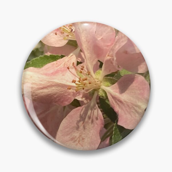 Aperçu de l'œuvre Fleurs de pommier créée et vendue par Lilly Corradetti.