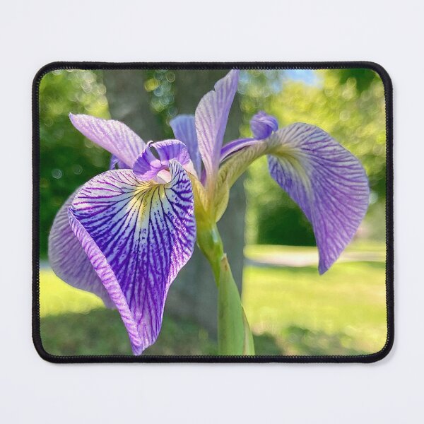 Item preview, Purple Day designed and sold by Lilly Corradetti.