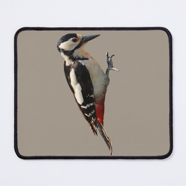Item preview, Unique Woodpecker designed and sold by RainbowSpinkle.