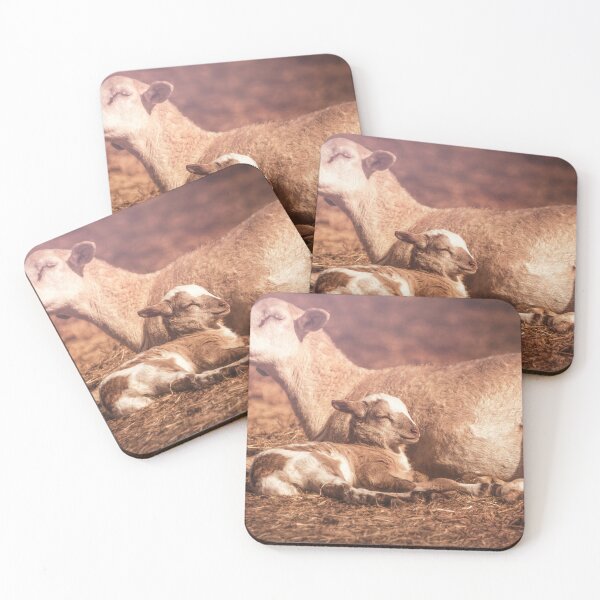 Item preview, Contentment designed and sold by Jim Love.