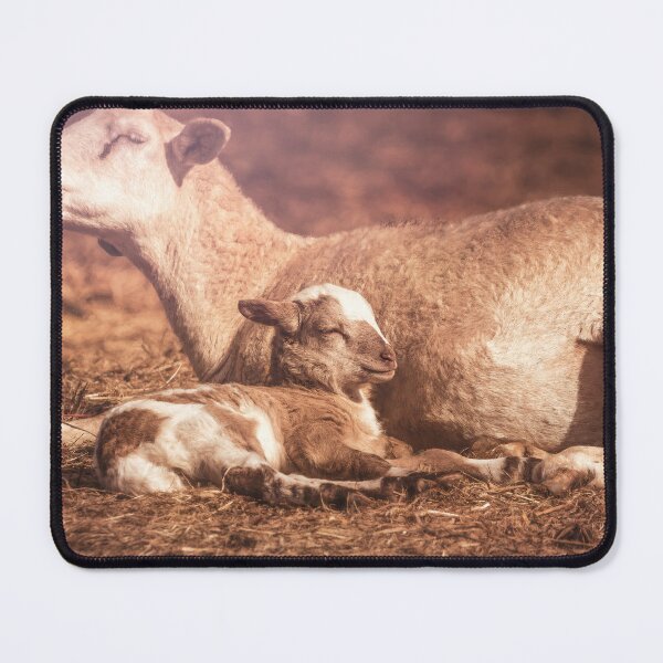 Item preview, Contentment designed and sold by Jim Love.