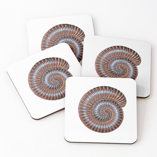Item preview, Archispirostreptus gigas milpiés gigante africano designed and sold by AikasHeaven.
