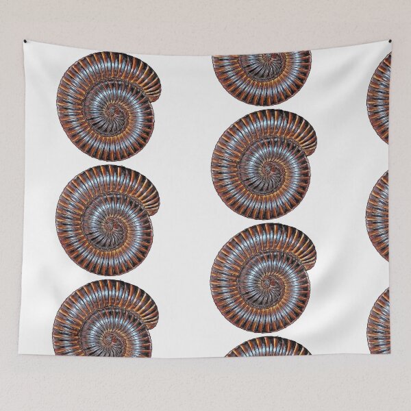 Aperçu de l'œuvre Archispirostreptus gigas Mille-pattes géant africain créée et vendue par AikasHeaven.