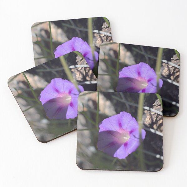 Item preview, Hey good morning glory designed and sold by WeeumsCraft.