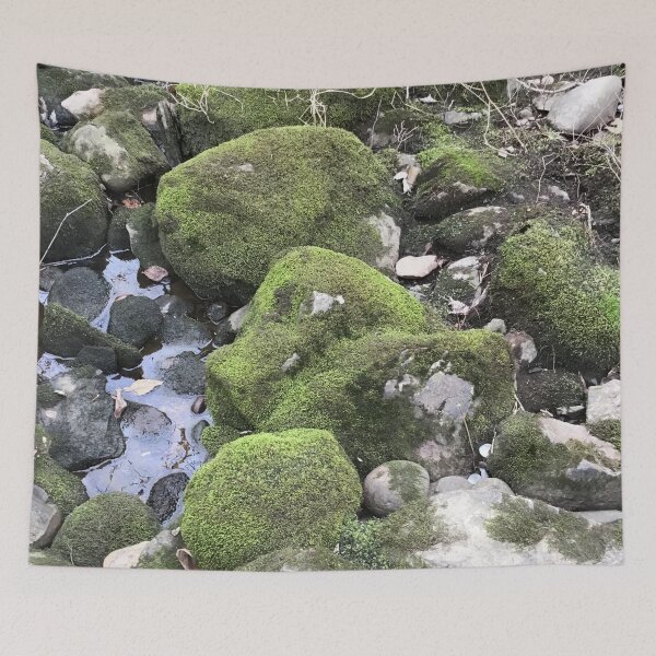 Item preview, Green Moss Covered Stones designed and sold by CJRPics.