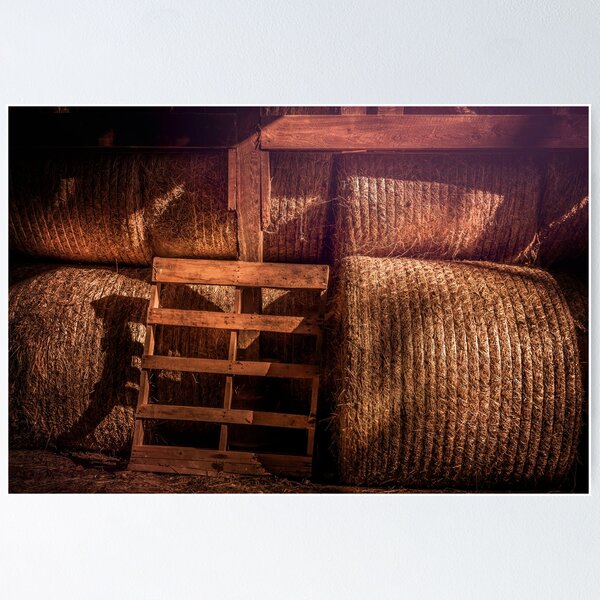 Item preview, Barns Are Magical Places designed and sold by Jim Love.