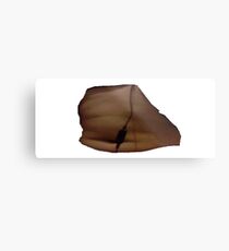 daleks belly Metal Print