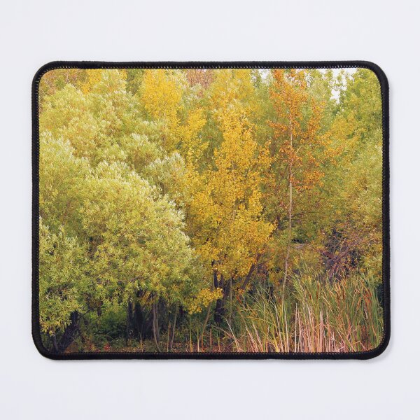 Artikelvorschau, Eleganter Herbst No.1 Winnipeg entworfen und verkauft von MaryLinH.