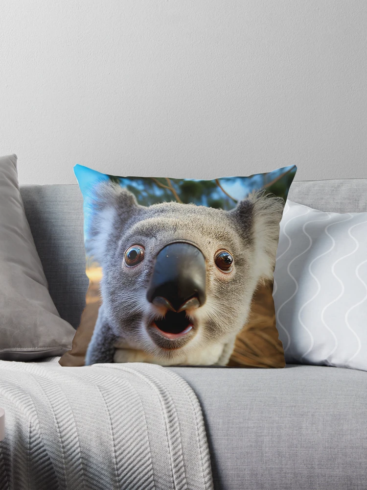 A Shocked Koala Pillow for Sale by GingerArranger Redbubble